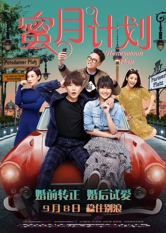 Poster of 蜜月计划