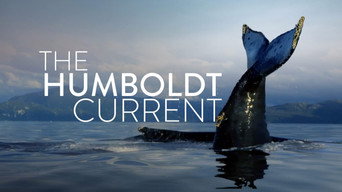 The Humboldt Current (2021-2022)