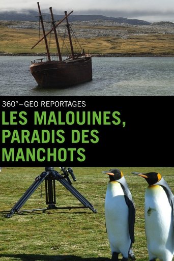 Les Malouines, paradis des manchots