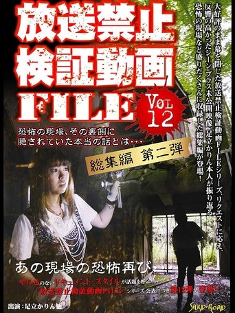 Banned Video File Vol. 12 poster