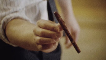 #12 Операція «Лавина»