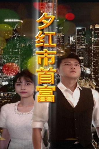 夕红市首富 poster