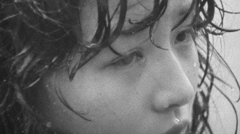 Afternoon Breezes (1980)
