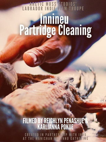 Preparing Innineu: Partridge Cleaning in Sheshatshiu