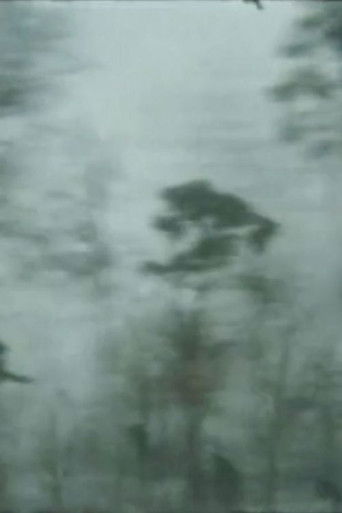 The Autobahn Poet poster