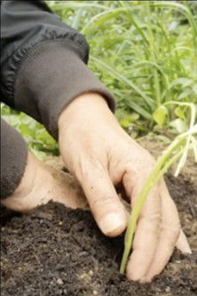 Uninvited Visitor poster