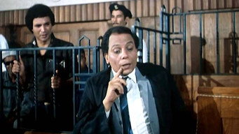 #14 The Lawyer