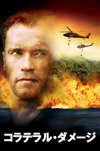 コラテラル・ダメージ