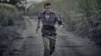 Galeria 5 - Sweet River