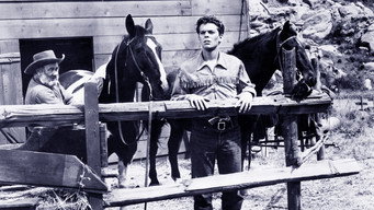 The Young Guns (1956)