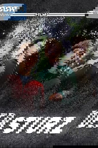 Der Sturz