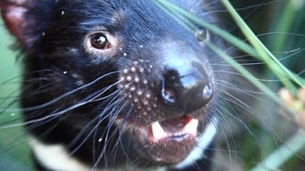 #1 David Attenborough's Tasmania