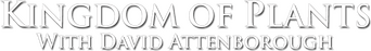 Kingdom of Plants logo