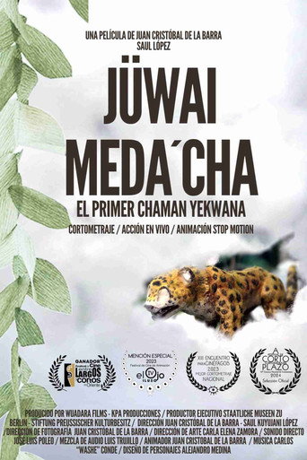 Jüwai Meda'cha, el primer chamán yekwana