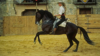 #19 Bolero