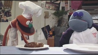 Fur TV - S1E01