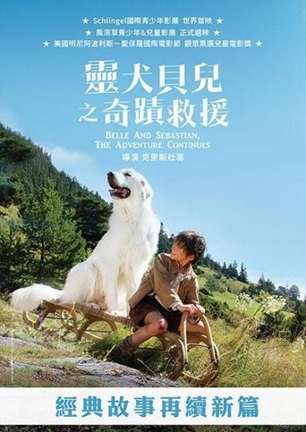 灵犬雪莉:冒险再出发