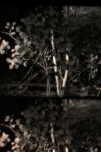 Wind Above Thunder (1970)