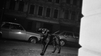 Я не та, ким хочу бути (2024)