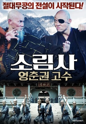 Yongchun of South Shaolin: The Founders poster