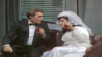 A Husband's Diary (1990)