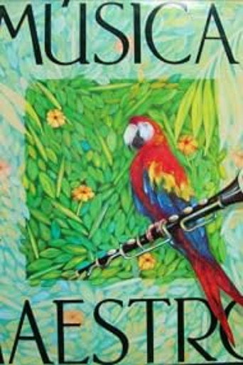 Póster de Musica Maestro