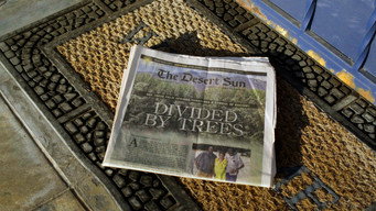 #6 Racist Trees