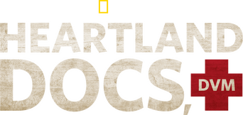 Heartland Docs, DVM logo