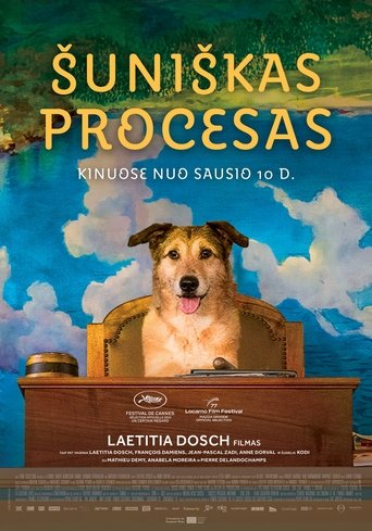Šuniškas procesas