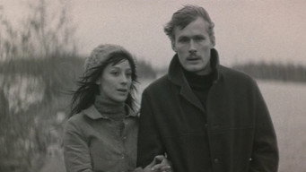 Errors of Youth (1978)