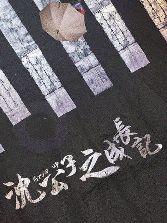 沈公子之成长记 poster