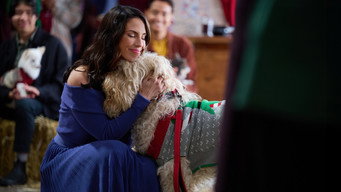#5 Happy Howlidays