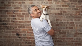 Dog Whisperer with Cesar Millan (2004-2012)