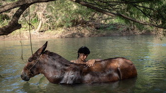 The Muleteer (2024)