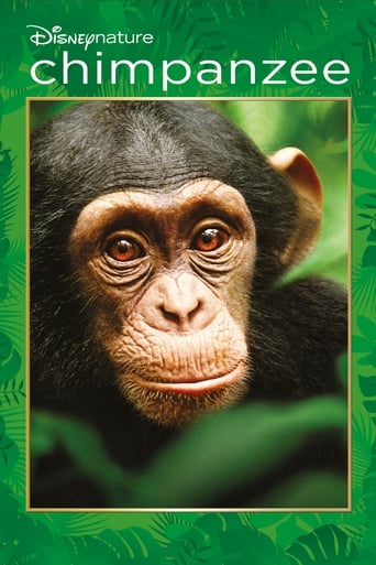 Movie poster: Chimpanzee (2012) ชิมแปนซี ผจญภัยในป่ากว้าง