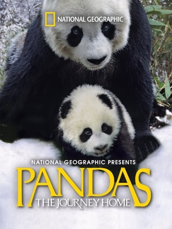 Poster för Pandas: The Journey Home