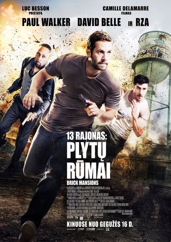 13 rajonas: plytų rūmai