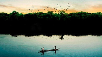 Eternal Amazonia (2012)