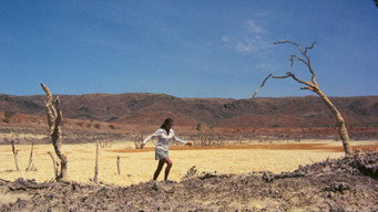 #5 Walkabout