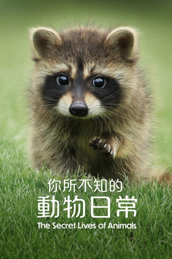 第 1 季 poster