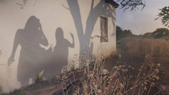 Stella Murders (2023)