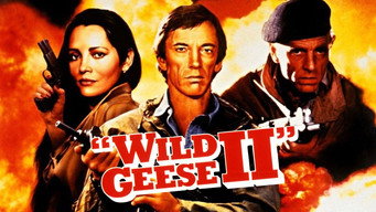 #14 Wild Geese II