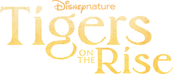 Tigers on the Rise logo