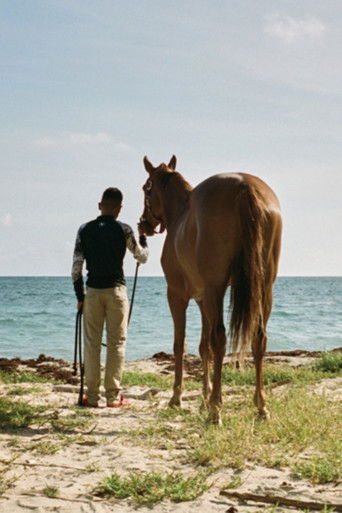 Cruzan Cowboys poster