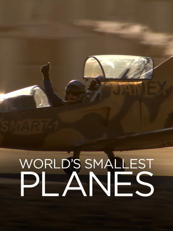 World's Smallest Planes