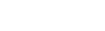 Austin Dillon's Life in the Fast Lane logo