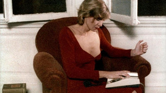 Toute une nuit (1982)