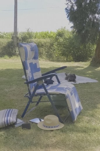 Summer Afternoons poster