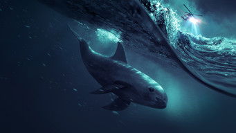 Galeria 1 - Sea of Shadows