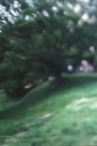 bibliography for lights poster